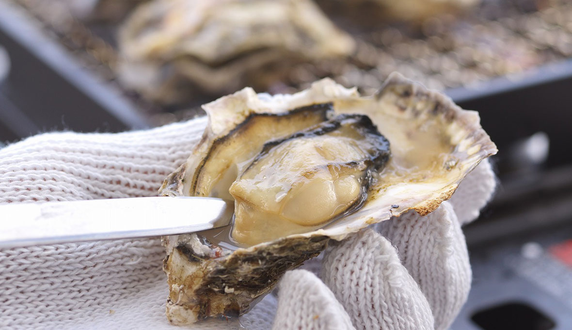 シーサイドバーベキュー