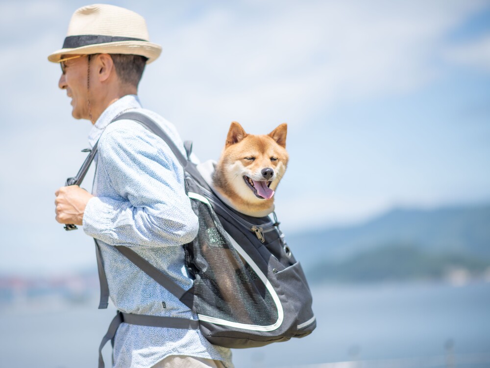 【ANA わんわんフライトin長崎】ご予約受付中！！