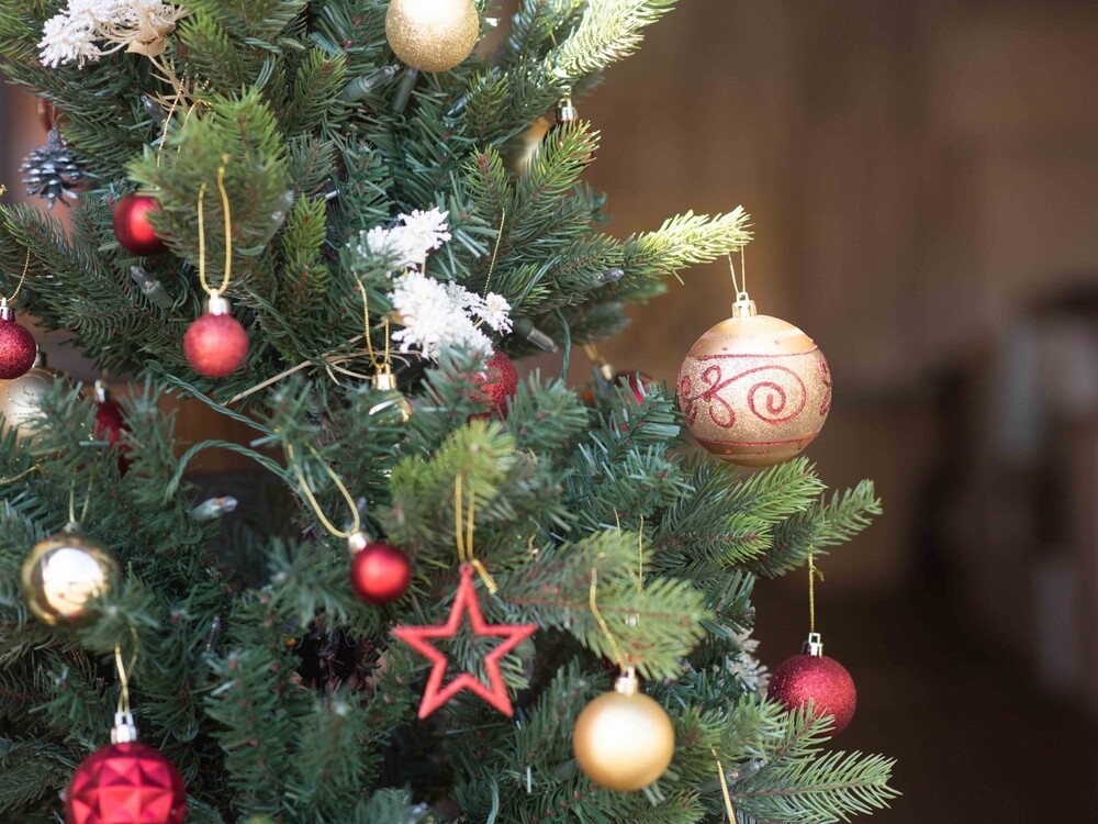 【12/10(土)Xmasイベント開催！】ISLAND CHRISTMAS