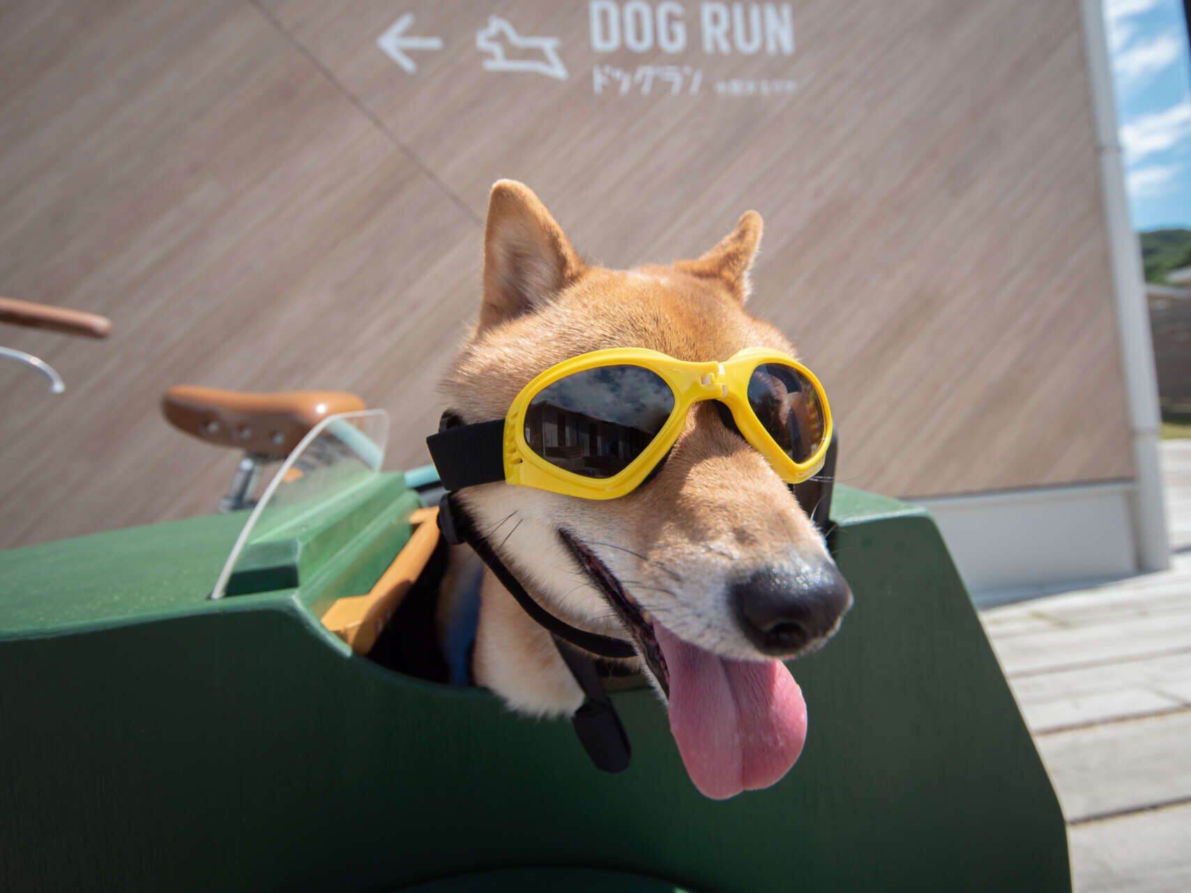 DOG HALLOWEEN in i+Land nagasaki開催