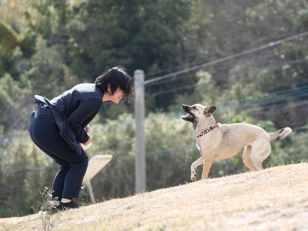 【4/20(日)　第36回ワンちゃん・猫ちゃん譲渡会開催！】先輩保護犬「フィル」と「ルーチェ」も会場でお待ちしております！