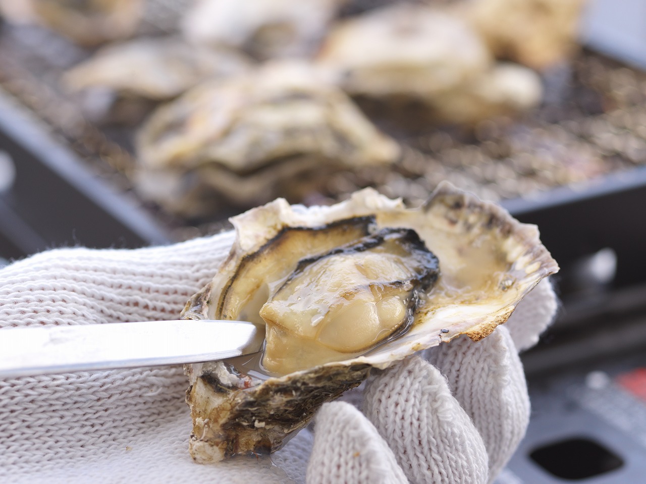 \手ぶらでOK!/ネット予約で気軽に牡蠣小屋ランチ!