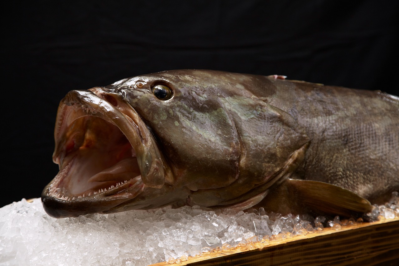 厳選された季節の食材を味わう和食会席プラン