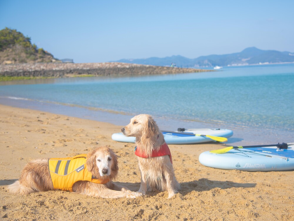 【2026/5/1(金)】マリンアクティビティスタート！